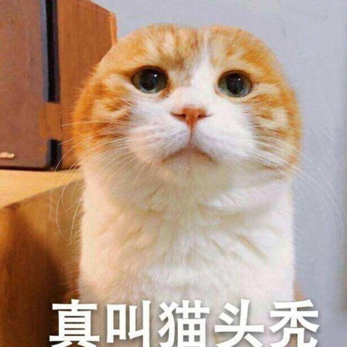 四十多岁脑梗是什么引起的