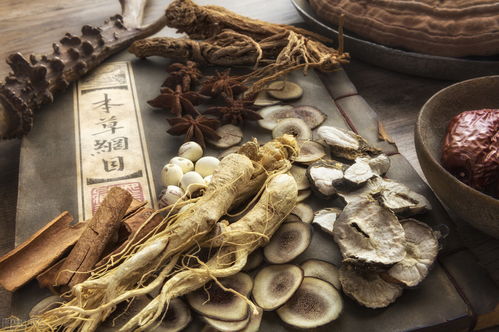 刺黄芩是什么中药