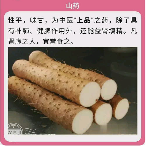 女人补肾吃什么东西效果最好怎么区别肾阴虚还是肾阳虚