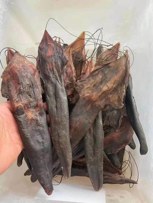 纯正鹿茸多少钱一斤