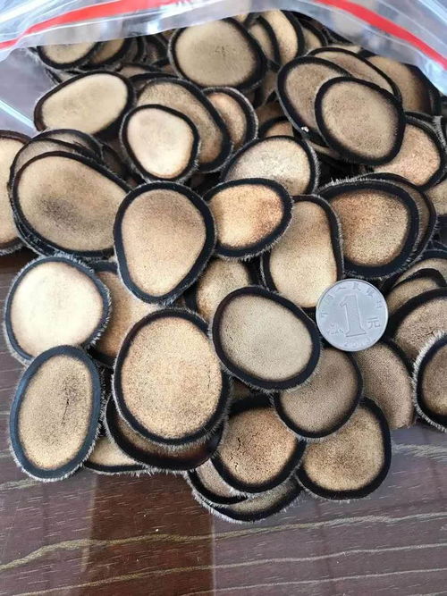 最好的鹿茸片多少钱一克
