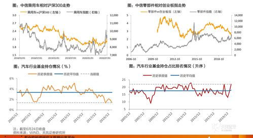 金线莲价格多少钱一斤
