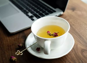 常期喝桑叶茶好吗女人