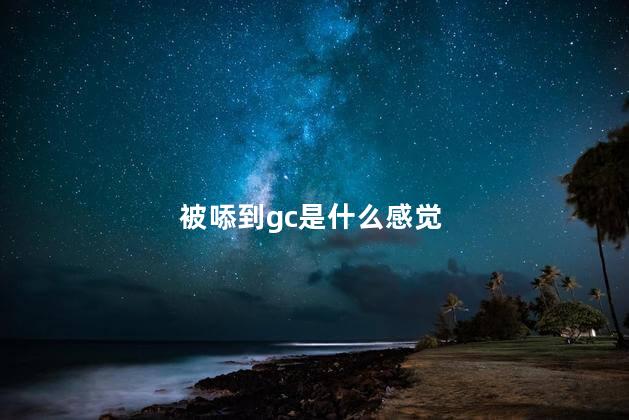 被㖭到gc是什么感觉