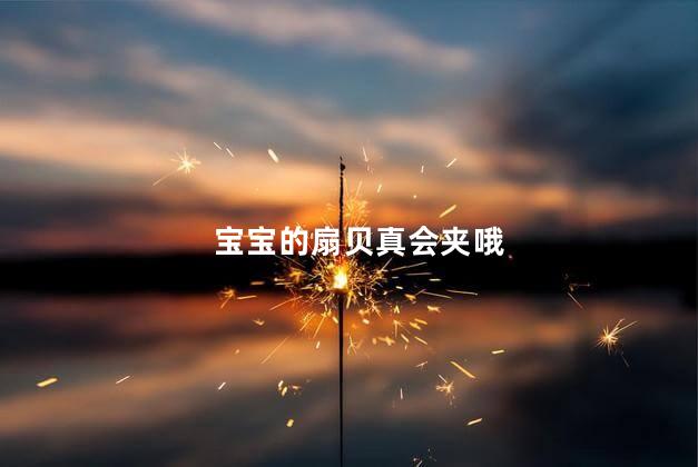 宝宝的扇贝真会夹哦