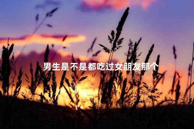 男生是不是都吃过女朋友那个