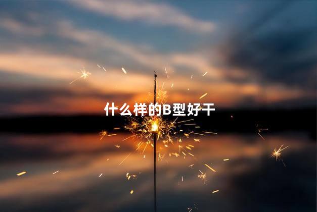 什么样的B型好干,什么样的女人最好玩,什么样的女人最好玩