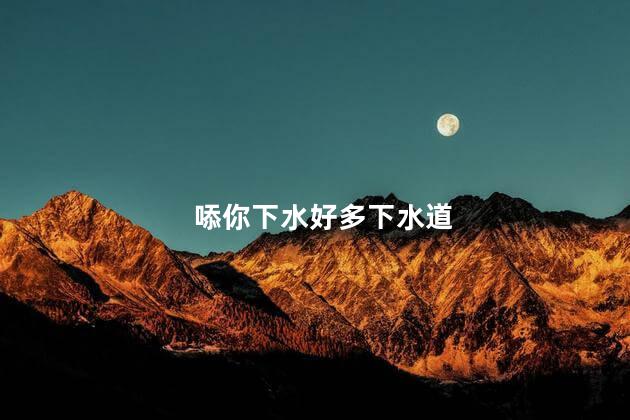 㖭你下水好多下水道
