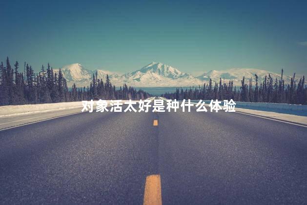对象活太好是种什么体验