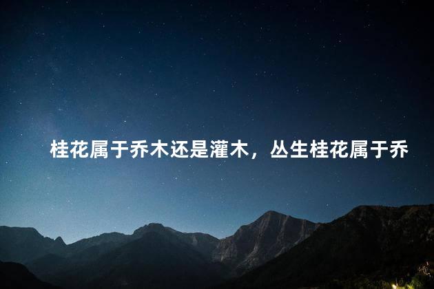 桂花属于乔木还是灌木，丛生桂花属于乔木还是灌木