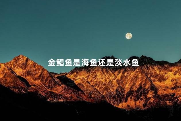 金鲳鱼是海鱼还是淡水鱼