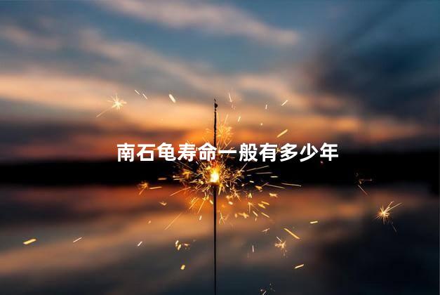 南石龟寿命一般有多少年,南石龟的寿命有多长,南石龟寿命一般有多少年呢