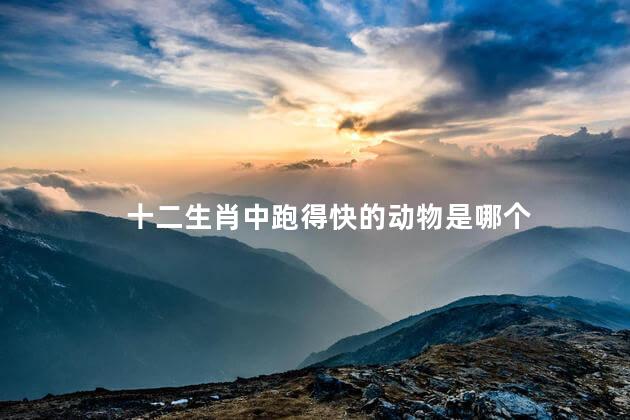 十二生肖中跑得快的动物是哪个