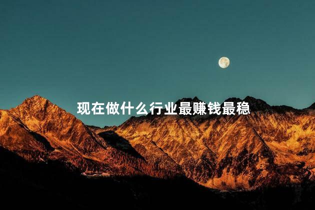 现在做什么行业最赚钱最稳,现在做什么行业最有前途,现在做什么行业最赚钱最稳农村
