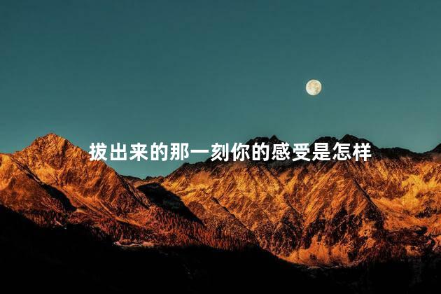 拔出来的那一刻你的感受是怎样,是那种拔出来的感觉吗,初爱视频教程