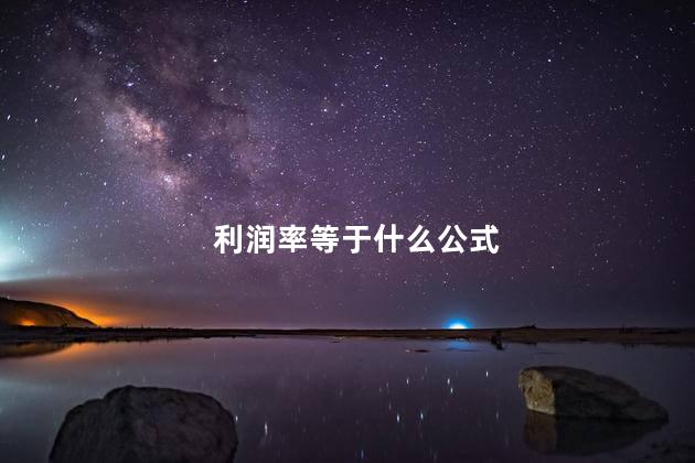 利润率等于什么公式