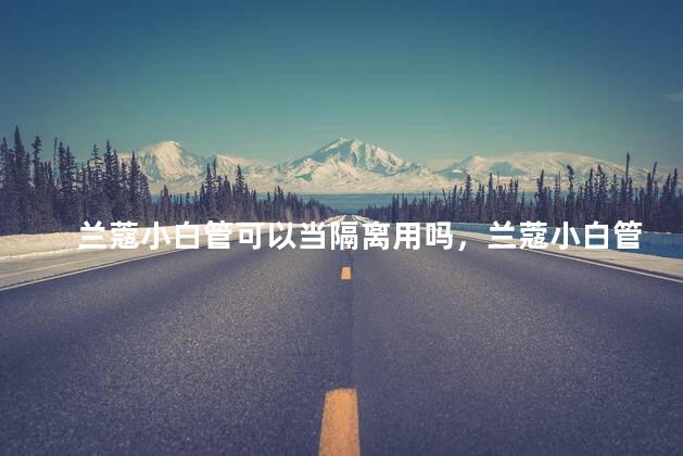 兰蔻小白管可以当隔离用吗，兰蔻小白管能当隔离用吗