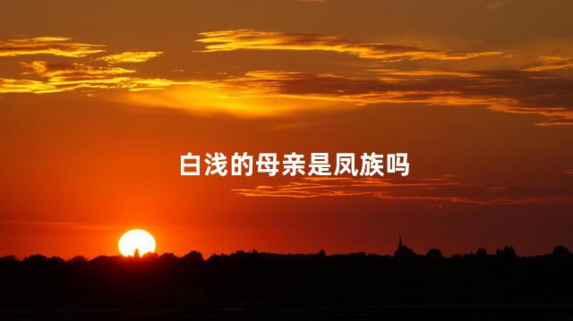 白浅的母亲是凤族吗