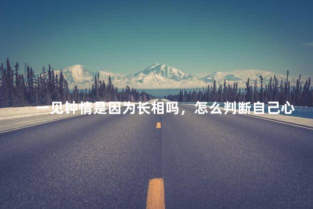 一见钟情是因为长相吗，怎么判断自己心动了