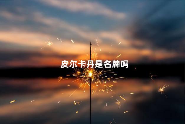 皮尔卡丹是名牌吗