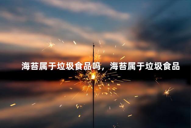海苔属于垃圾食品吗，海苔属于垃圾食品吗