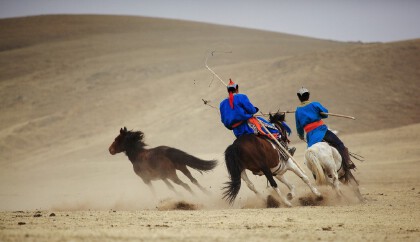 胡人是什么意思