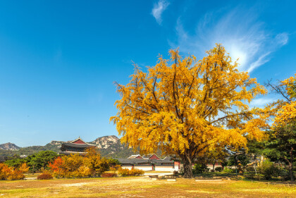 人间忽晚山河已秋的意思