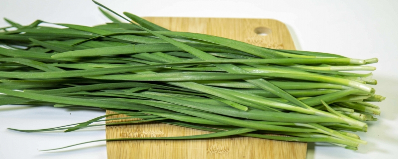韭菜是荤菜还是素菜