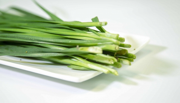 韭菜是荤菜还是素菜