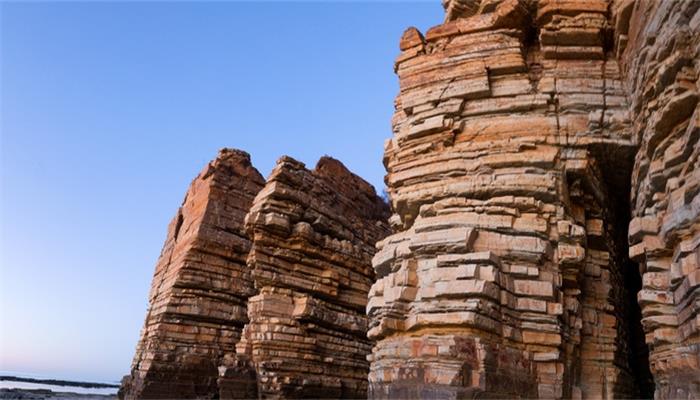 寒号鸟是什么种类的鸟