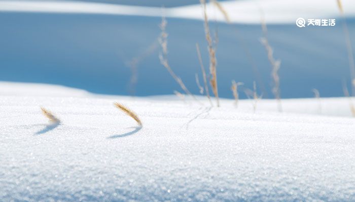 雪景句子唯美简短