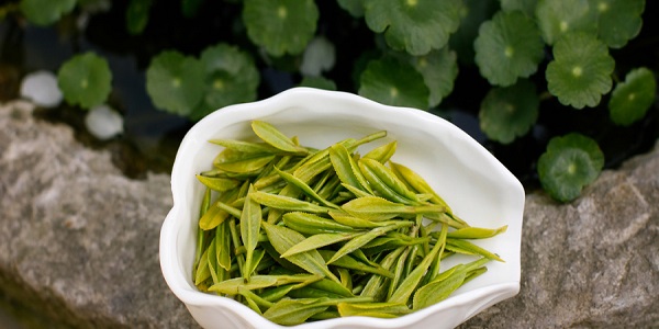 龙井茶的功效与作用