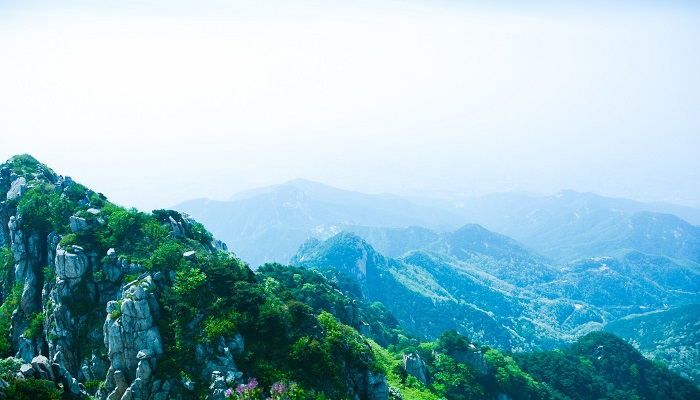会当凌绝顶一览众山小写的是哪座山