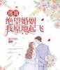 作者为迷茫的鱼的小说逃离绝望婚姻，我原地起飞阅读