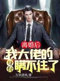 小说离婚后，我大佬的身份瞒不住了！第0章的小说免费阅读
