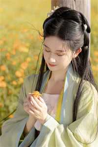 叶离苏心斋（叶离苏心斋）小说多人阅读-小说（叶离苏心斋）叶离苏心斋在哪里看免费