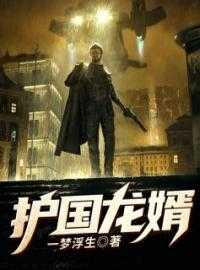 护国龙婿完结版小说_萧战穆如雪全文阅读