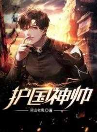 梁山老鬼写的小说护国神帅小说全文阅读