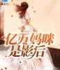 亿万妈咪是影后佟莹莹叶岚小说大结局阅读