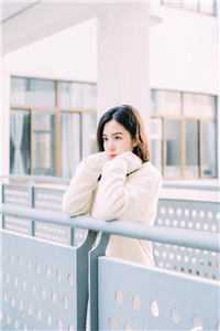 开局五张婚书「免费小说」陈凡蒋婷婷大结局阅读