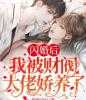 闪婚后，我成了渣男舅妈小说夏情书司政南热门小说完结版阅读