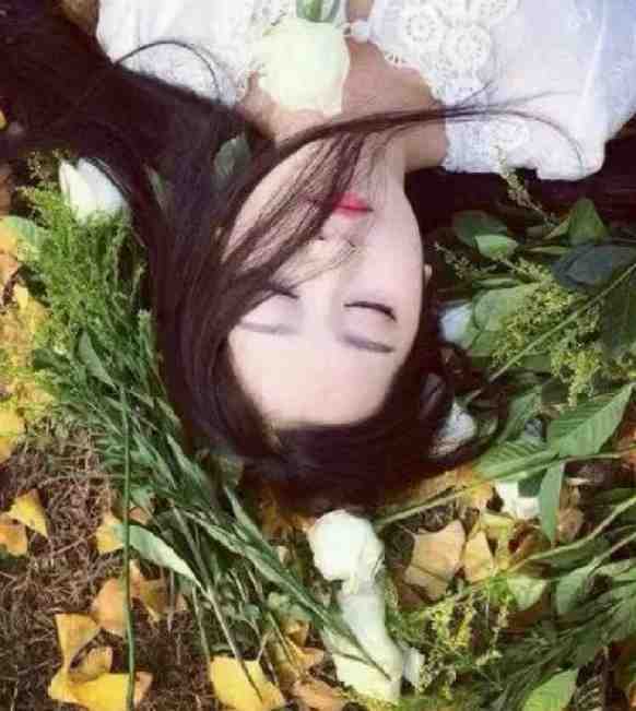 精彩小说对有得有觉得奇怪衡娜晨弓倩晨全文免费阅读